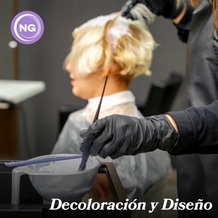 Curso de Decoloración y Diseño. Alta Capacitación Profesional